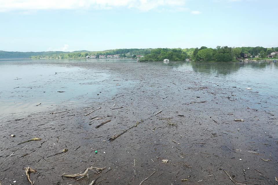 Claytor Lake debris